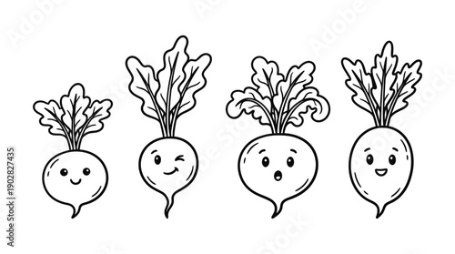 beetroot , 4 cute black Hand drawn line art cartoon vector, white background. PNG and SVG