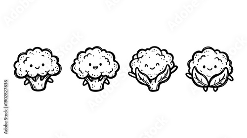 cauliflower , 4 cute black Hand drawn line art cartoon vector, white background. PNG and SVG