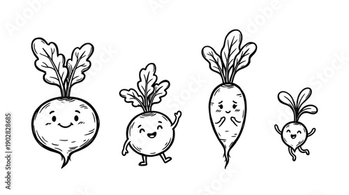 radish , 4 cute black Hand drawn line art cartoon vector, white background. PNG and SVG