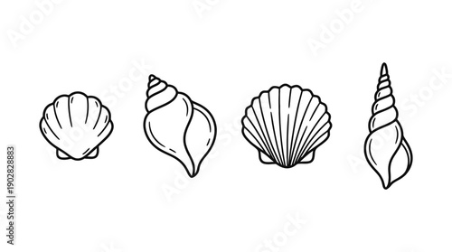 seashells , 4 cute black Hand drawn line art cartoon vector, white background. PNG and SVG