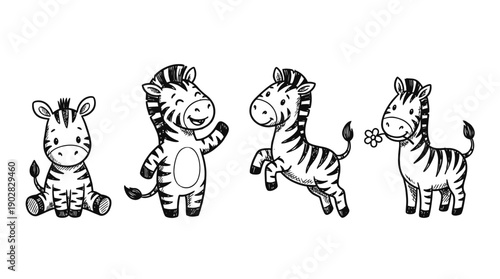 zebra , 4 cute black Hand drawn line art cartoon vector, white background. PNG and SVG