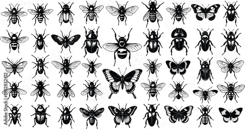 Black and White Insect Silhouette Vector Set Featuring Detailed Butterflies, Bees, Beetles, and Flies for Vintage Nature Graphic Design Projects
