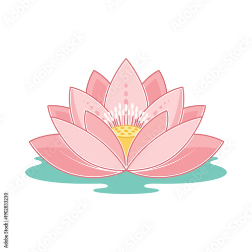 Pink Lotus Flower in Water