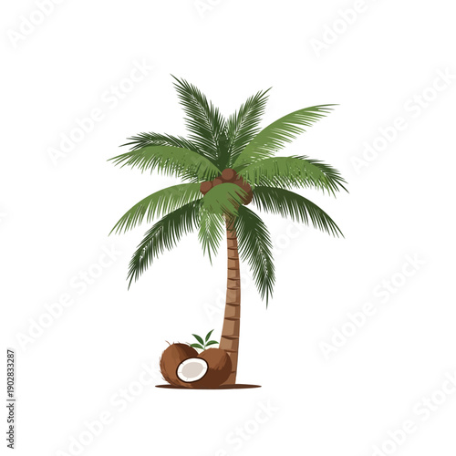 Palm Tree with Coconuts