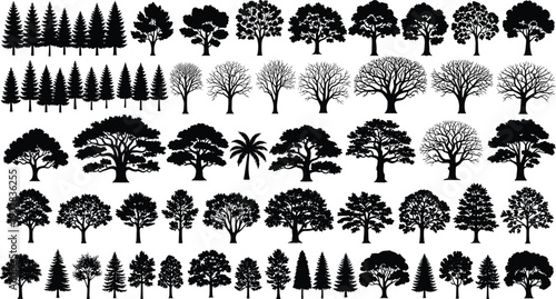 Huge collection of black tree silhouettes featuring various deciduous species evergreens palms and bare winter trees for landscape architecture design