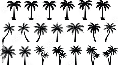 Tropical palm tree silhouette collection featuring multiple vector styles for beach, summer, island, travel, logo, pattern, poster, branding, landscape, decoration, and nature design projects