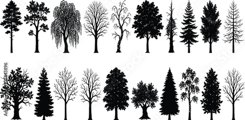 Black tree silhouette collection featuring diverse forest species including pine, oak, birch, willow and bare winter trees, minimalist vector set for nature design, landscapes, logos