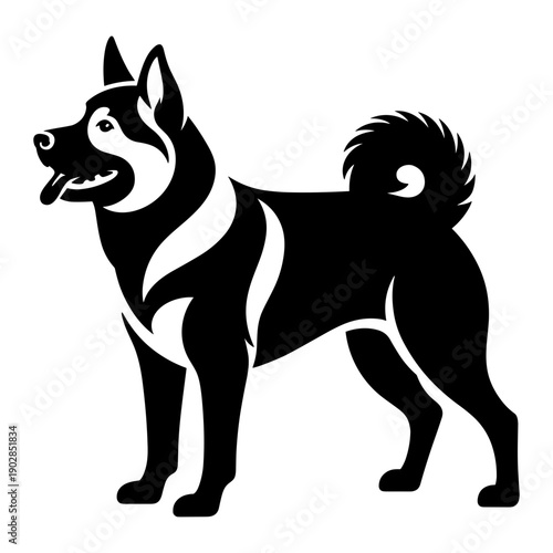 Norwegian Elkhound Dog