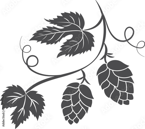 Hop branch black silhouette. Brewing plant icon