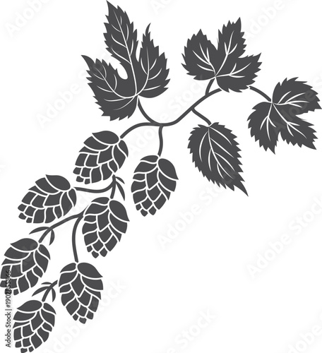 Hop cones on growing twig. Natural plant stencil