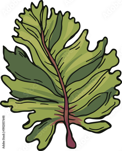 Green kelp icon. Oceanic tropical leaf drawing
