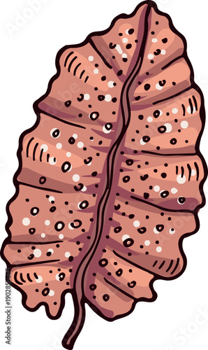 Brown underwater leaf. Sea botany. Flora drawing