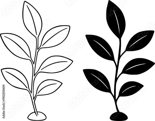 Plant icon, vector illustration of ficus, black and white in outline and silhouette design style