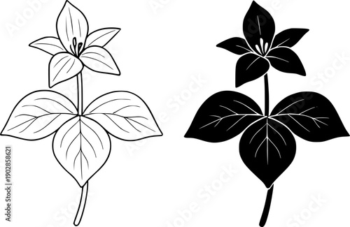 Plant icon, vector illustration of trillium, black and white in outline and silhouette design style