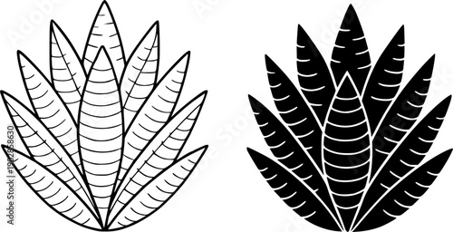 Plant icon, vector illustration of haworthia, black and white in outline and silhouette design style