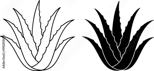 Plant icon, vector illustration of aloe vera, black and white in outline and silhouette design style