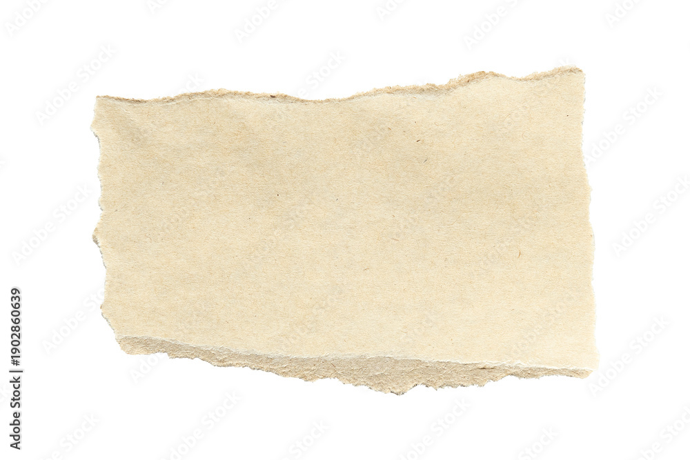 Fototapeta premium Ripped paper png transparent background