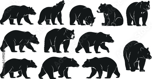 Bear silhouette vector collection wildlife animal poses walking standing roaring sitting grizzly predator woodland nature black illustration set