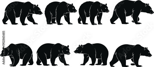 Bear silhouette vector set wild grizzly animal walking standing poses woodland wildlife predator nature black illustration collection bundle
