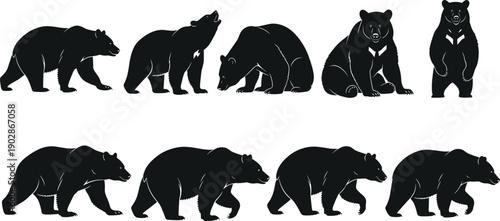 Bear silhouette vector set grizzly wildlife animal poses walking roaring sitting standing woodland predator nature black illustration collection