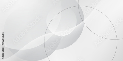 Abstract white and gray color background. Eps10 vector