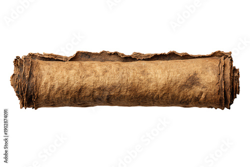 Ancient Scroll on White Background