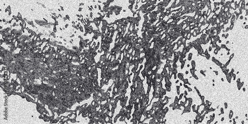 Abstract grayscale organic cellular texture with speckled noise and irregular porous patterns creating a unique background for design and artistic concepts
