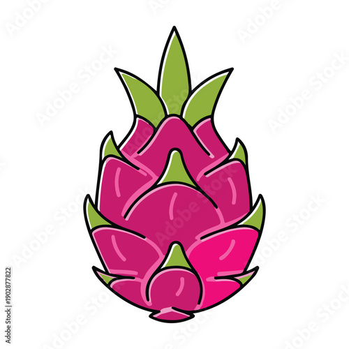 Minimalist dragon fruit pitahaya vector icon isolated with offset style