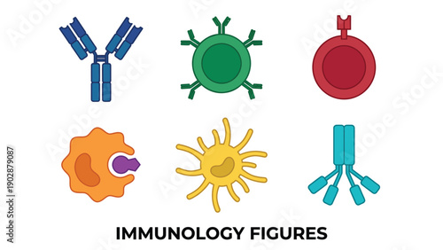 Immunology Figures Antibodies T Cells B Cells and Immune System Cells Icons for Medical Science and Education