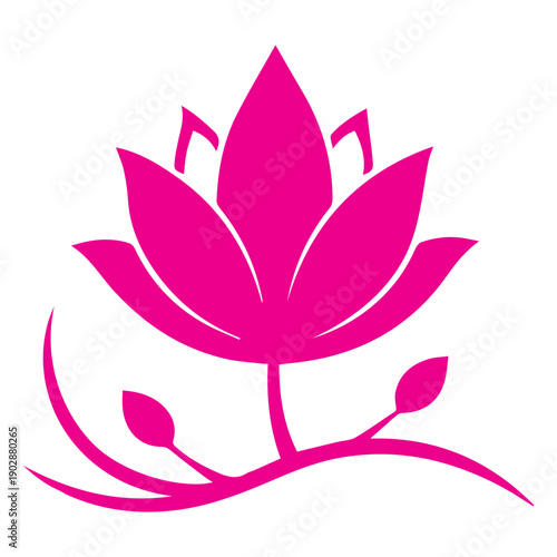 Elegant Pink Lotus Blossom