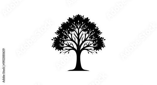 Isolated vector silhouette of a single oak tree with branches and foliage on a white background representing nature and forest growth during the spring season