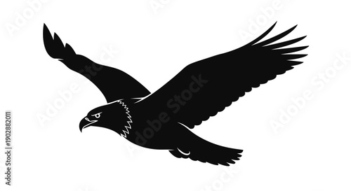 Minimalist silhouette of an eagle in flight isolated on a white background