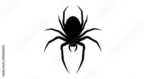 Black spider silhouette vector illustration isolated on white background