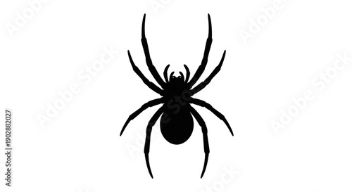 Silhouette of a spider isolated on a white background viewed from directly above