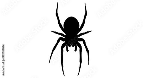Black spider silhouette isolated on white background vector illustration