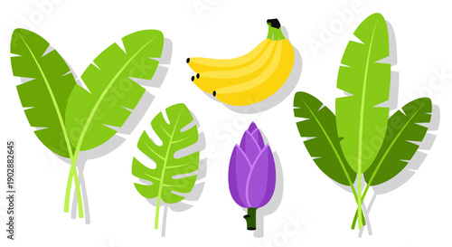 Vibrant tropical botanical illustration featuring a bunch of ripe yellow bananas a purple banana flower bud and lush green banana leaves isolated