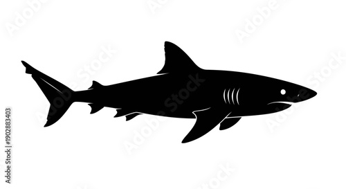A high contrast black shark silhouette on a white background