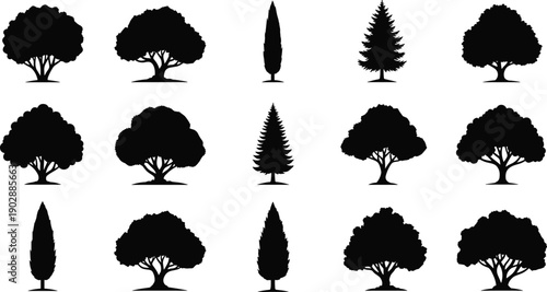 Tree silhouettes collection, different tree shapes isolated on white background, nature forest elements, black vector illustration set