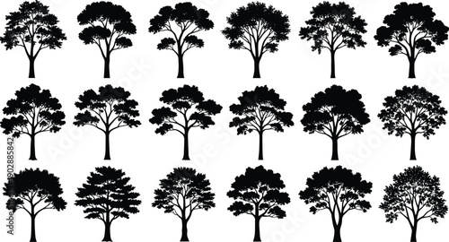 Tree silhouettes collection, various deciduous tree shapes, forest nature elements, black vector illustration set isolated on white background