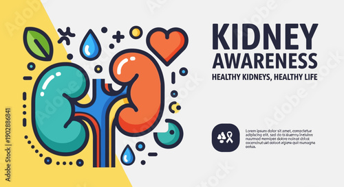 Colorful illustration promoting kidney health awareness with vibrant organs and heart
