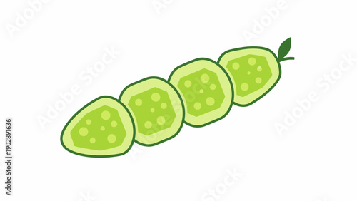 Refreshing green cucumber slices illustration with a fresh leaf healthy food ingredient vector