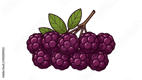 Vibrant cartoon illustration depicting a cluster of fresh dark purple berries with green leaves on