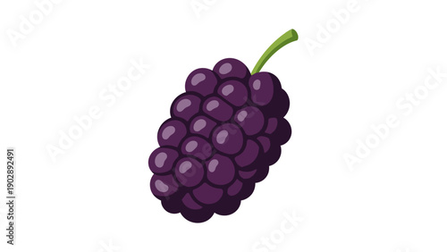 Delicious cartoon illustration of a fresh dark purple blackberry with a green stem on a white