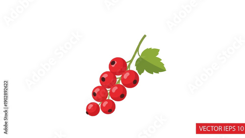 Delicious red currants vector illustration showcasing fresh ripe berries on a stem with a vibrant