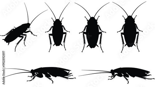 Cockroach silhouettes set, creeping insect icons, pest control service graphics, household bug infestation, roach vector collection for hygiene and sanitation,
