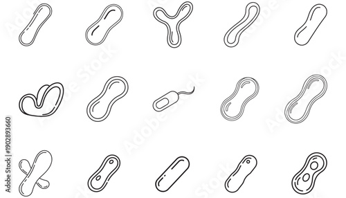 Collection of line art illustrations representing various bacteria shapes and forms
