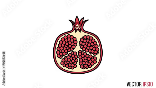 Vibrant hand-drawn pomegranate half cut open showcasing juicy red arils inside vector illustration