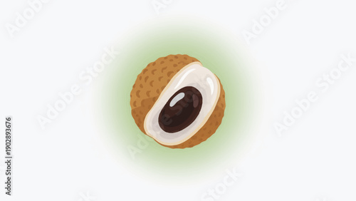 Vibrant illustration of a sliced longan fruit revealing its sweet flesh and dark seed on a gentle