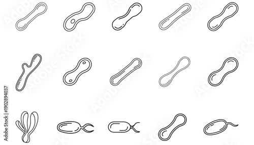 Collection of Different Bacteria Shapes and Forms Illustrated for Scientific Study