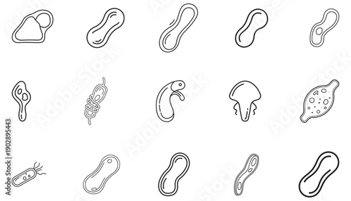 Collection of Various Microorganism and Cell Icons on White Background